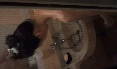 Junges Mädchen anal reife deutsche frauen sex